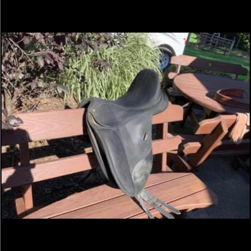 dressage saddle